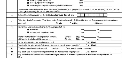 Auszug aus dem Formular "Bescheinigung über eine Beschäftigung zur Vorlage bei der Mutterschaftsgeldstelle"